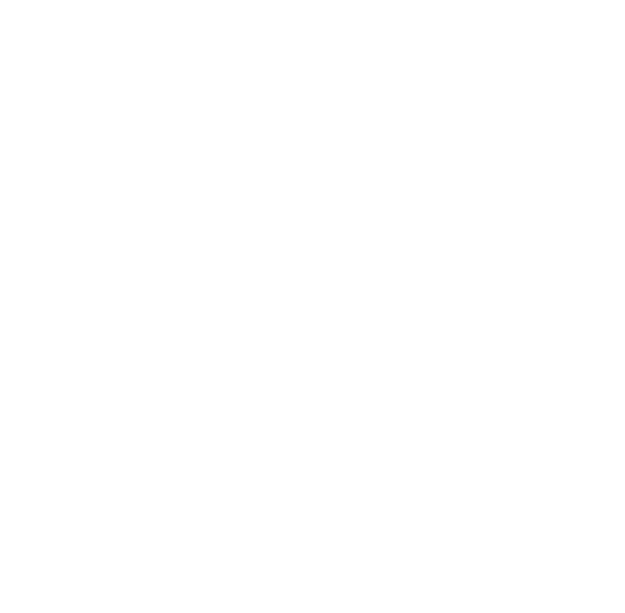 PremierICON